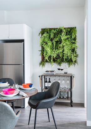 Jamaica Plain apartment for rent - A modern kitchen with a table and chairs and a green plant hanging on the wall.