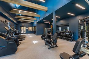 Stoneham apartment for rent - Spacious fitness center with cardio equipment and weight machines at The Devon at Weiss Farm in Stoneham, MA.