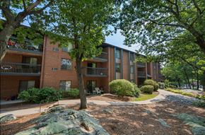 Weymouth apartment for rent - A tree in front of a building with a balcony.