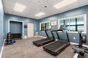 Boston apartment for rent - A gym with treadmills, a weight bench, and a rowing machine.