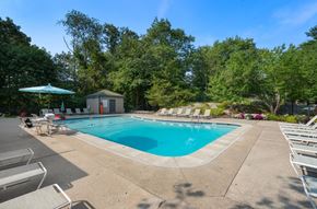Weymouth apartment for rent - A swimming pool surrounded by trees and lounge chairs.