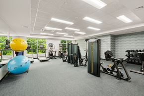 Somerset apartment for rent - A gym with a variety of equipment including a blue exercise ball and a yellow exercise ball.