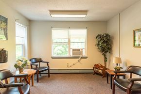 Taunton apartment for rent - A living room with a large window and a potted plant.