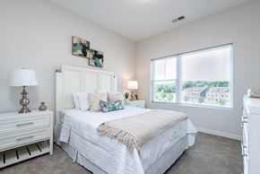 Canton apartment for rent - Millside model plush carpeting large windows light colors