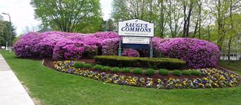 Award winning landscape