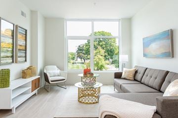 Mansfield apartment for rent - a living room with a couch and a large window