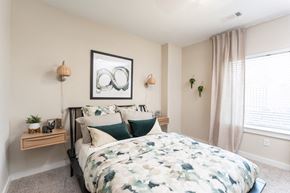 Bellingham apartment for rent - The Curtis Model Apartment Bedroom with plush carpeting and large window