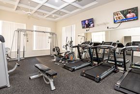 Stoughton apartment for rent - Other view of the fitness room with treadmills