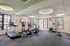 Jamaica Plain apartment for rent - Fitness center with cardio equipment and cable machine.