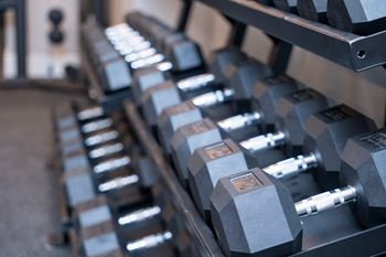 Health hub fitness center