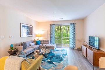 Amesbury apartment for rent - a living room with a couch and a tv