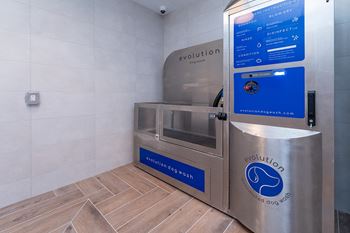 Indoor paw spa