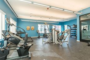 Bellingham apartment for rent - Gym entrance, cardio and strength training equipment with dumbbells