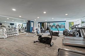South Easton apartment for rent - A gym with treadmills, elliptical machines, and other exercise equipment.