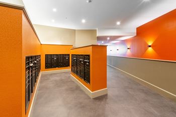 A large wine cellar with orange walls and rows of wine bottles