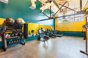 Beverly apartment for rent - a workout room with weights and other exercise equipment in a gym at Beverly Village for Living & the Arts Apartments, Beverly, 01915