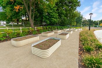 A row of white planters filled with plants in a park