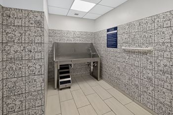 Pet wash station