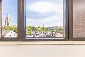 Views of the cathedral of learning