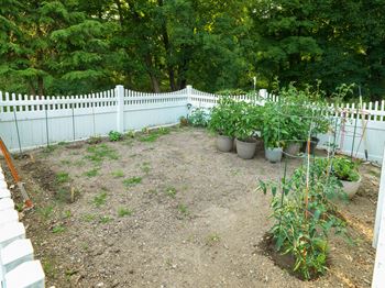 Garden area