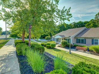 Lush landscaping