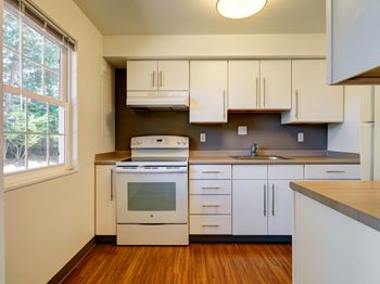 Kitchen area