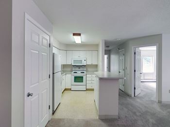 Modern kitchen 