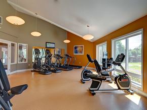 Mansfield apartment for rent - Fitness Center at Mansfield Meadows Apartments in Mansfield, MA