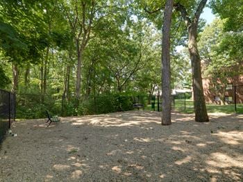 Pet park