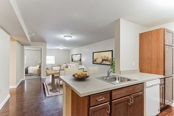 Kitchen and living room