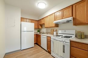 Columbus apartment for rent - Fully Appliance Kitchen with Wood Cabinets. at Franklin Manor Apartments, Ohio, 43223