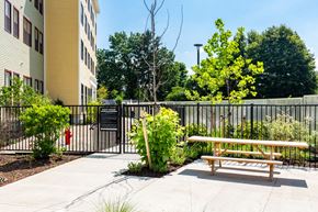 Amherst apartment for rent - Dog Park at North Square Apartments in Amherst, MA
