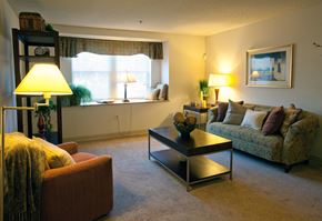 Stamford apartment for rent - Livingroom With Couch And Table