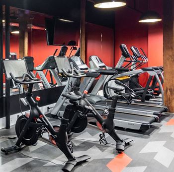A row of exercise bikes in a gym