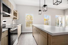 Hastings apartment for rent - A kitchen with wooden cabinets and a large island.