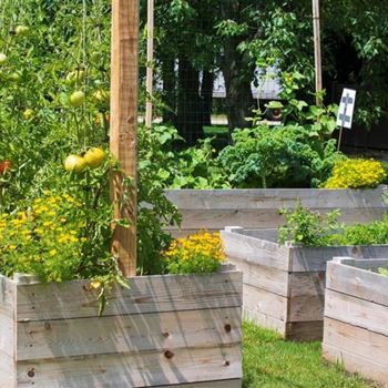 Community garden