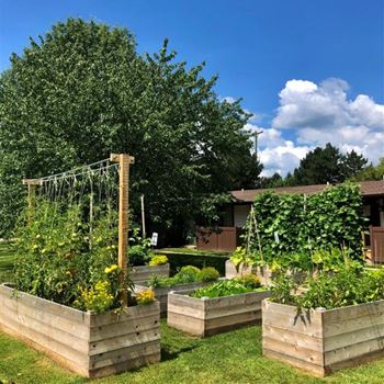 Community garden