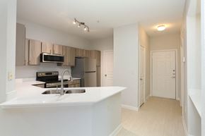 San Antonio apartment for rent - A kitchen with a sink and a refrigerator.