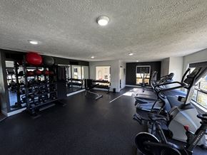Portage apartment for rent - A gym with treadmills, weights, and exercise equipment.