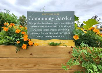 Community garden