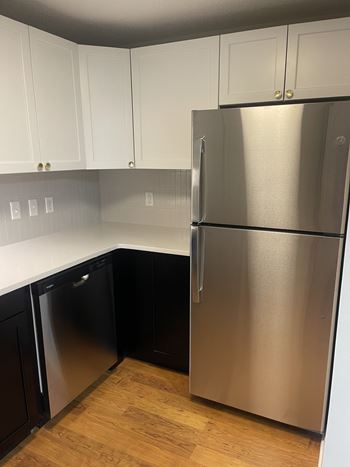 Freshly renovated apartments available