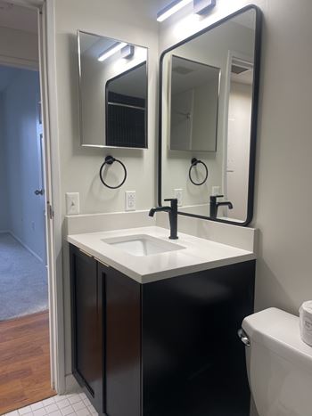 Freshly renovated apartments available