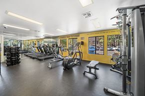 Flagstaff apartment for rent - A gym with a variety of equipment including treadmills, weights, and exercise machines.