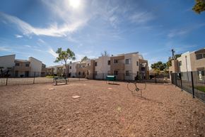 Tucson apartment for rent - Dog park with play structures.