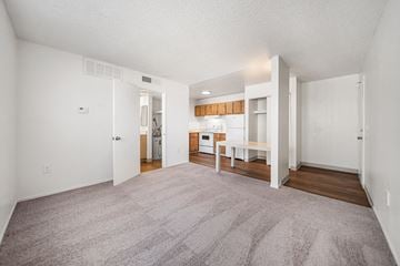 Tucson apartment for rent - A spacious living room with a grey carpet and white walls.