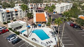 Tucson apartment for rent - A swimming pool is surrounded by a parking lot and palm trees.