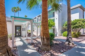 Tucson apartment for rent - Building Exterior showing white stucco with Palm Trees.