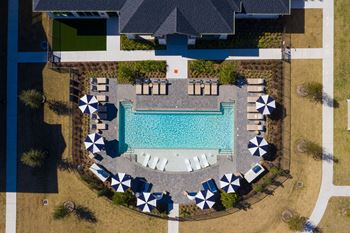 An aerial view of the resort style pool with lounge chairs and umbrellas