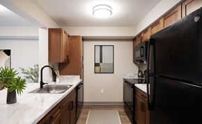 Mechanicville apartment for rent - A kitchen with a black refrigerator and a sink with a potted plant on the counter.