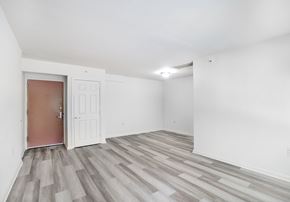 Washington apartment for rent - Spacious Room at Highland Terrace Apartments, Washington, DC